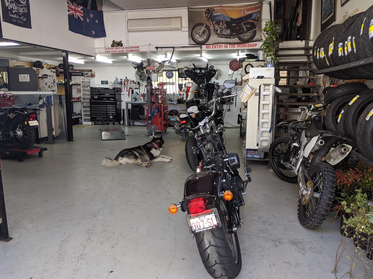 Best Motorcycle Businesses in the Sunshine Coast