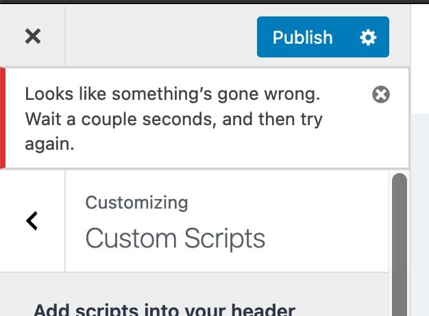 Error saving custom scripts in WordPress — How to fix